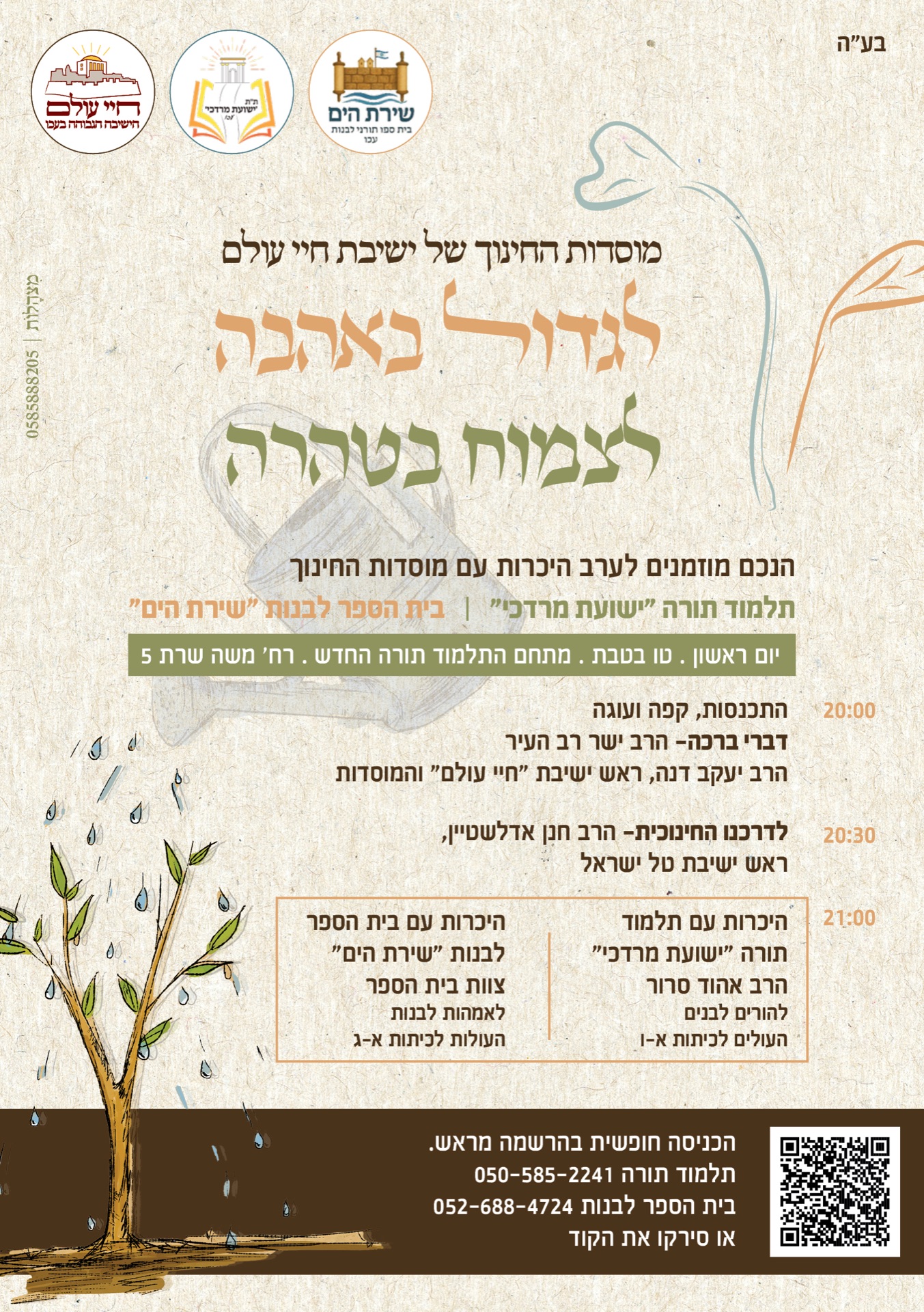 עיצוב פלייר